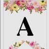 amyarnold631